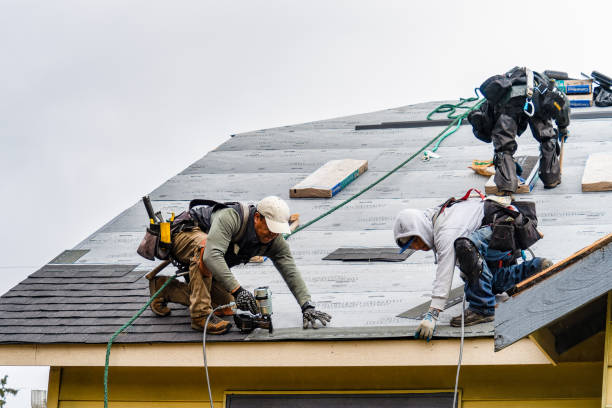 Professional Storm Damage Roof Repair technician working in Harwood, ND